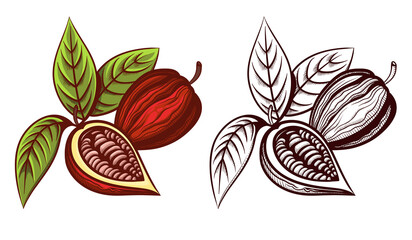 cocoa bean outline and color set engraving vector illustration
