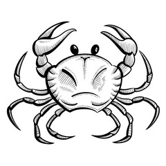 Fototapeta premium crab hand drawn sketch vector illustration