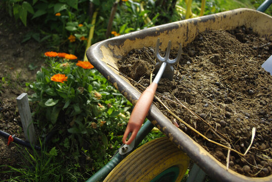 Trabajando la tierra en el huerto, detalle de carretilla y herramienta con flores 