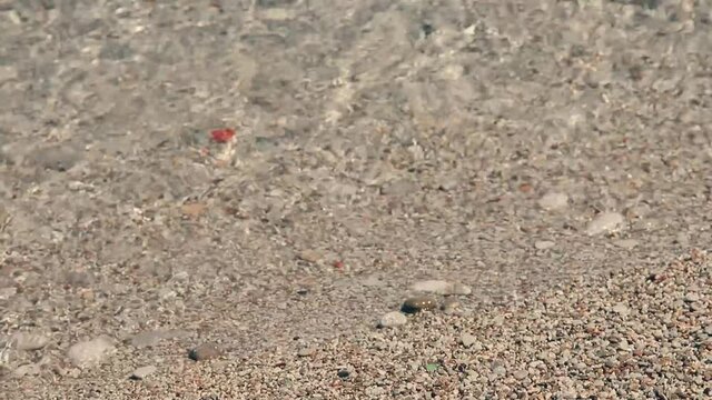 Acqua cristallina, pietre e raggi di sole