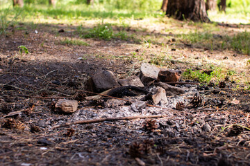 bricks and campfire in the forest