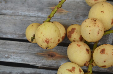 Tropical Fruit. Langsat