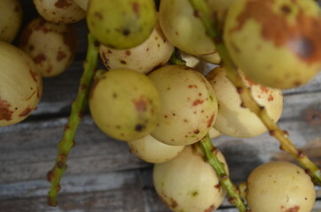 Tropical Fruit. Langsat