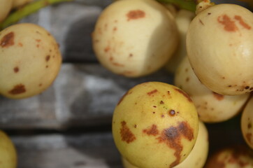 Tropical Fruit. Langsat