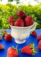 Large fresh red strawberries in a decorative cup on a blue surface on a background of green plants. Free place.