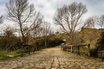 Country bridge with wooden poles and leafless shrubs