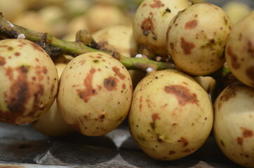 Tropical Fruit. Langsat