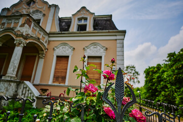 View over an old cast iron fence in the foreground to roses in a garden.