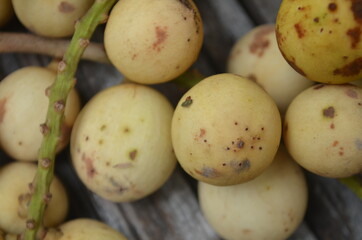 Tropical Fruit. Langsat