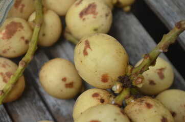 Tropical Fruit. Langsat