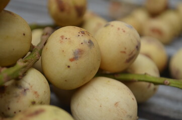 Tropical Fruit. Langsat