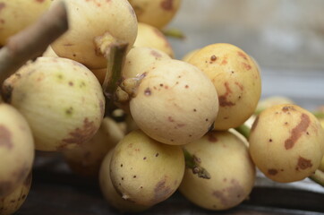 Tropical Fruit. Langsat
