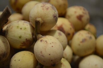 Tropical Fruit. Langsat