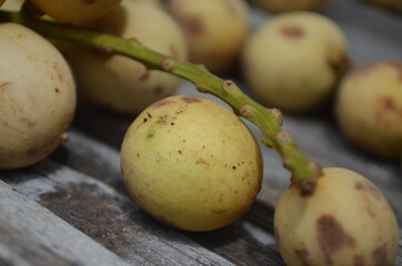 Tropical Fruit. Langsat