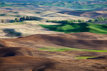 Aerial view of rolling landscape