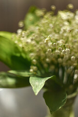 Beautiful bouquet of lilies of the valley in vintage style with bokeh and highlights in the background.