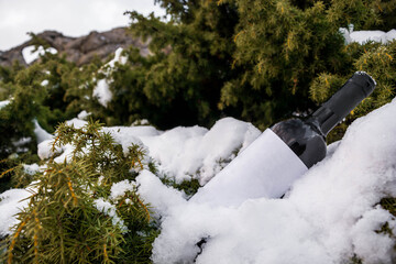 bottle of wine in the snow