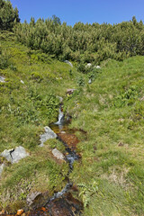 Panorama around Belmeken peak, Rila mountain