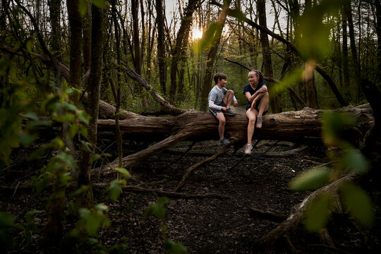 Full length of smiling siblings talking while sitting on fallen tree in forest