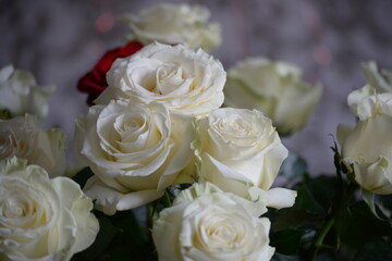 bouquet of white roses