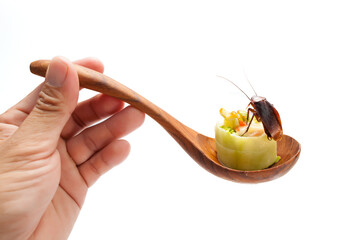 Cockroaches on a white background, carrier disease, hygiene, pest control