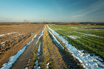 The last snow on the dirt road, fields and evening sky