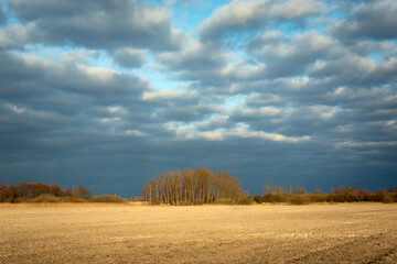 Obraz premium A strip of plowed field, trees on the horizon and dark clouds on the blue sky