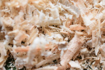 wood shavings close up photo