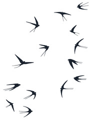 Fototapeta premium Flying swallow birds silhouettes vector illustration. Migratory martlets bevy isolated on white. 