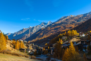 Beautiful panorama view of Zermatt town in the vally with snow covered peaks of Swiss Alps in background and golden trees forest on sunny autumn day with blue sky, Zermatt, Valais, Switzerland