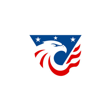 Eagle Head triangle american flag