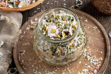 Preparation of common daisy syrup from fresh flowers