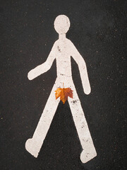 Walking sign with a male leaf covering the private parts on an asphalt road