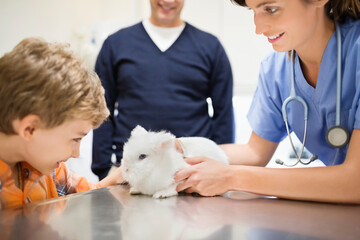Veterinarian and owner examining rabbit in vet's surgery