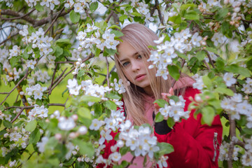 Fototapeta premium Portrait of a girl among the branches of a flowering Apple tree