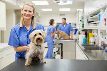 Veterinarian smiling with dog in vet's surgery