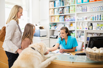 Receptionist greeting dog in vet's surgery - obrazy, fototapety, plakaty