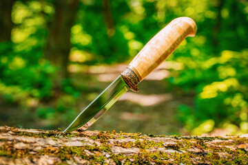 Hunting knife on a stump in a forest camp