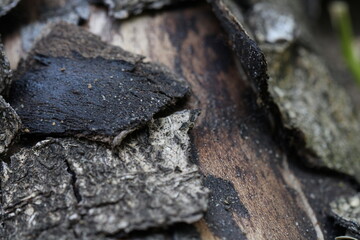 Close up of a dead wooden bench