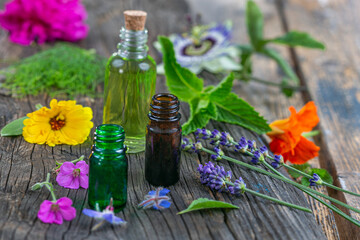 Obraz na płótnie Canvas Lavender, rosemary, marigold and sage herbs in flower with an aromatherapy essential oil blue glass dropper bottle in a line, over windwse background