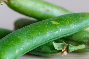 Fresh Pea Close Up. Image Useful For Articles About Agriculture, Food and Healthy Food.	