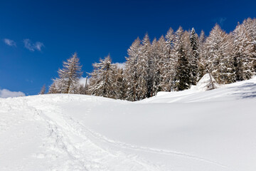 Fototapeta na wymiar Winter in the Dolomites mountain, Italy