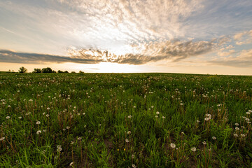 Morning awakening of the sun