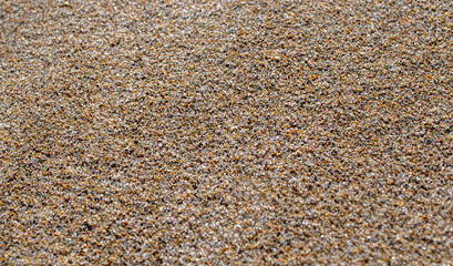 Sand texture and background.Sand on the beach in the background.Sand texture. Sandy beach for black background.Sand of a beach in summer.Macro shot.Copy space