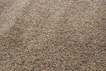 Sand texture and background.Sand on the beach in the background.Sandy beach for black background.Sand of a beach in summer.Copy space.Summer concept