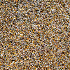 Sand texture and background.Sand on the beach in the background.Sand texture. Sandy beach for black background.Sand of a beach in summer.Macro shot.Copy space