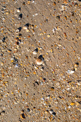 Sand texture and background.Sand on the beach in the background.Sand texture. Sandy beach for black background.Sand of a beach in summer.Macro shot.Copy space