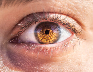 macro photography of a female eye. Human eye texture. eye pupil. Human eyelashes. Brown eye close-up. Eye background.
