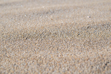 Fototapeta na wymiar Sand texture and background.Sand on the beach in the background.Sand texture. Sandy beach for black background.Sand of a beach in summer.Macro shot.Copy space