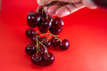 Hand holds beer on red background.